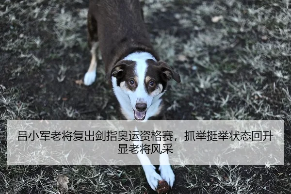 吕小军老将复出剑指奥运资格赛，抓举挺举状态回升显老将风采